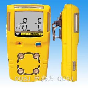 防水型二合一氣體檢測(cè)儀
